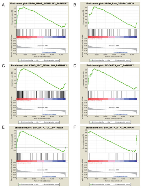 Enrichment plots from gene set enrichment analysis (GSEA).