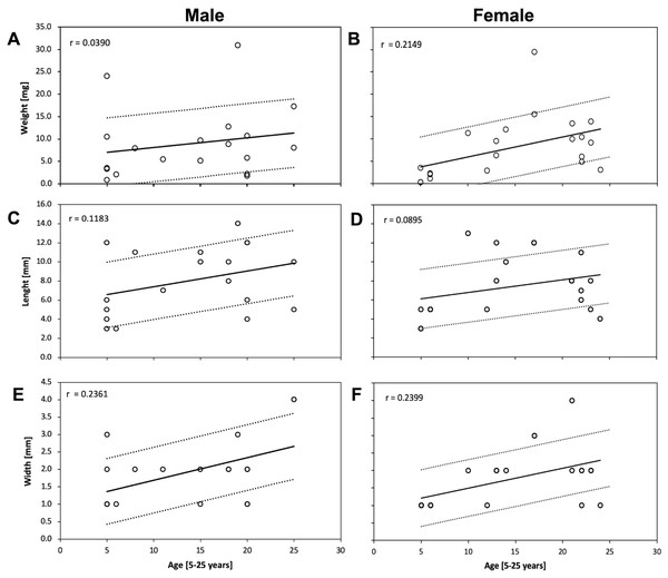 Correlation of weight, length and width measurements of the dental pulp and its relationship with the patient’s age.