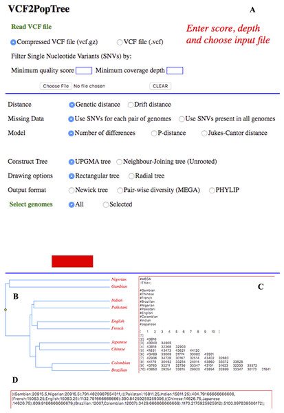 VCF2PopTree output on a web browser.