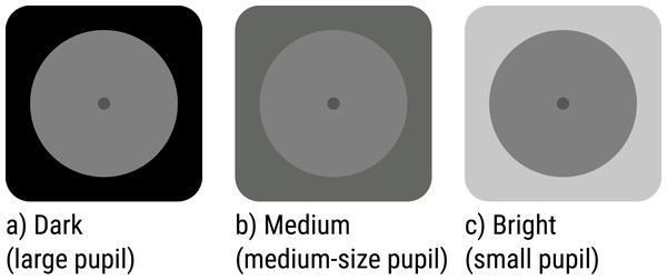 Luminance manipulation in Experiments 1 and 2.