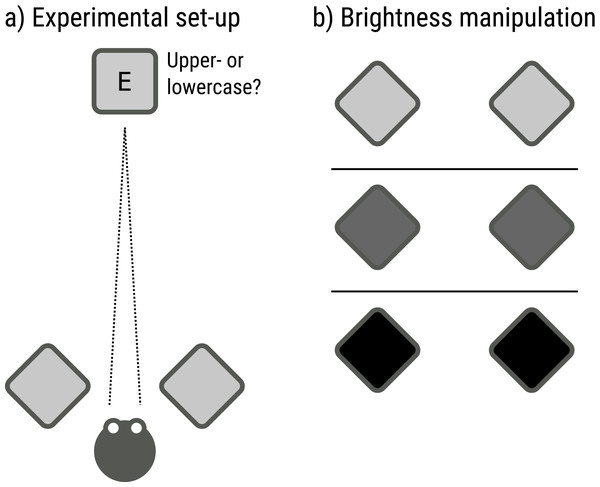 Schematic set-up and paradigm of Experiment 3.