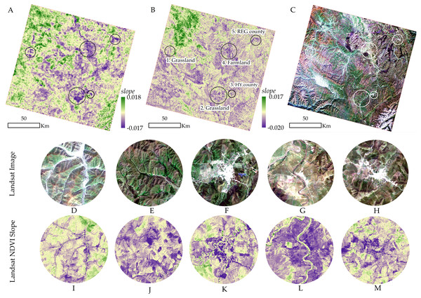 Validation of the vegetation dynamics from 1999 to 2015. A, B, and C is the slope of VGT/PROBA-V NDVI, the slope of Landsat NDVI, and true color image of Landsat OLI (2015/10/01), respectively.