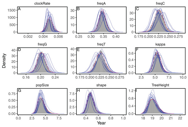 Posterior approximation of phylogenetic model parameters using mean-field variational inference (phylostan), NUTS (phylostan), and Metropolis-Hastings (BEAST2) algorithms on the influenza A virus dataset.
