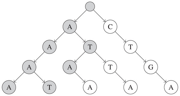 Simplified example of a trie built on five UMIs.