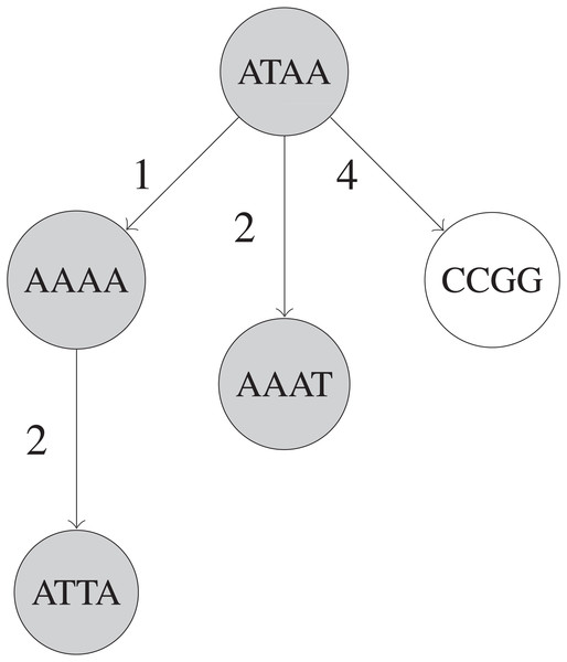 Simplified example of a BK-tree built on five UMIs.