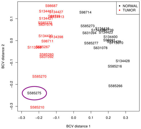 SCLC sample clustering based on gene variation between replicate RNA samples as returned by plotMDS function from edgeR package.