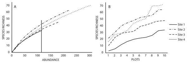 (A) Rarefaction and (B) accumulation curves for species richness in the four studied sites based on a standardized number of individuals and plots as sampling effort, respectively.