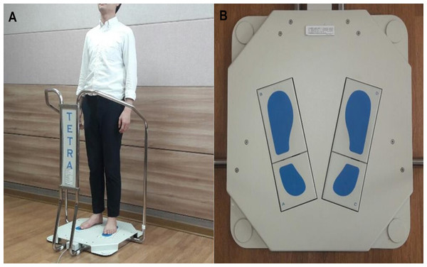 Instrument for postural assessment used in this study.
