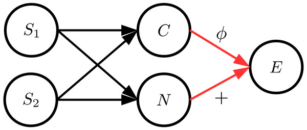 The general structure of the data generation process where C and N are dependent.