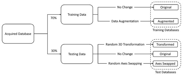 Database formation.