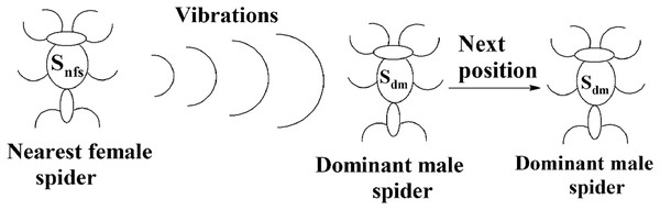 Next position of a dominant male spider in SSODCSC.