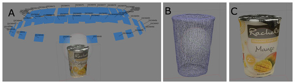Visualization of the steps in photogrammetry: (A) camera calibration and point cloud generation; (B) after mesh generation; (C) after texture generation.