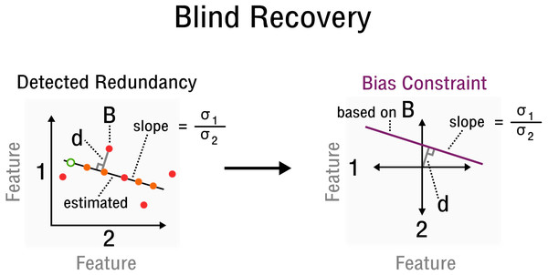 Measurement inference process from detected redundancies to bias constraints required for recovery.