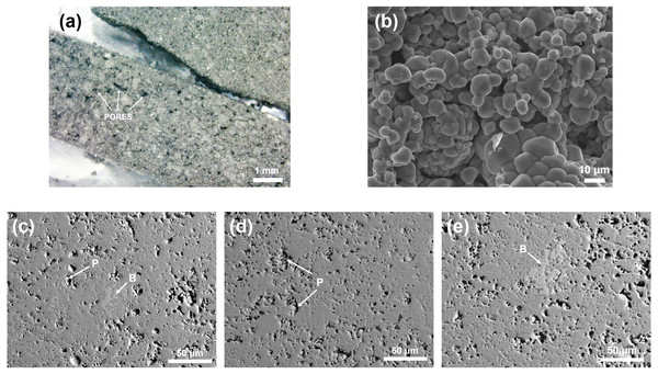 Optical and SEM images of as-synthesized NiS2, captured by (A) optical microscope (20×) and (B) SE-SEM (1,000×  magnification).