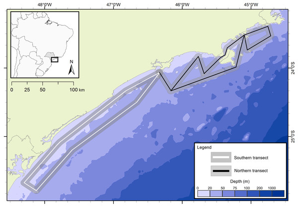 Study area and transects of the project “Occurrence, distribution and movement of cetaceans at São Paulo state coast”.