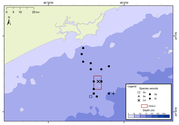Sightings made in the 24 surveys of the PEMLS project between June 2013 and June 2015 along São Paulo State coast, Brazil.