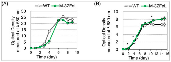 Growth curves of 
                        
                        ${\mathrm{M}}_{3}^{-}$
                        
                           
                              
                                 M
                              
                              
                                 3
                              
                              
                                 −
                              
                           
                        
                     ZFeL and wild-type strains of Euglena gracilis.