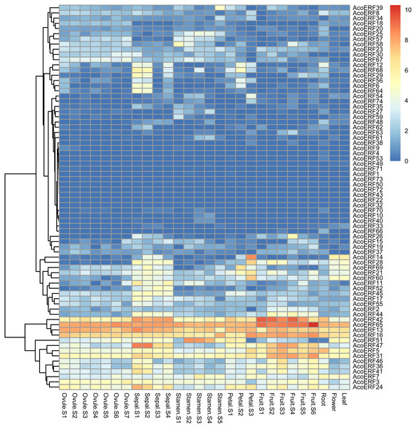 Expression profiles of 74 AcoERF genes in different tissues and stages of pineapple.