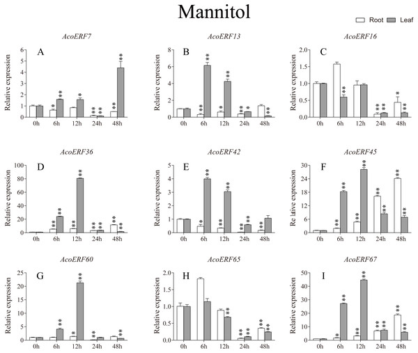 Expression profile of nine selected AcoERF genes in response to drought stress treatment.