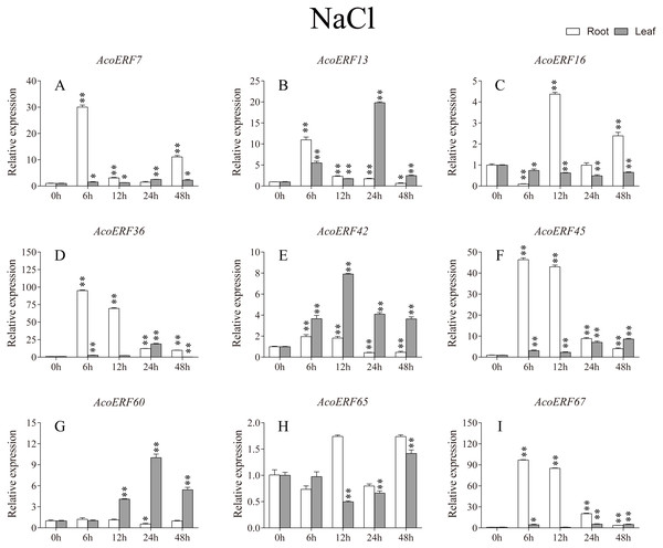 Expression profile of nine selected AcoERF genes in response to salt stress treatment.