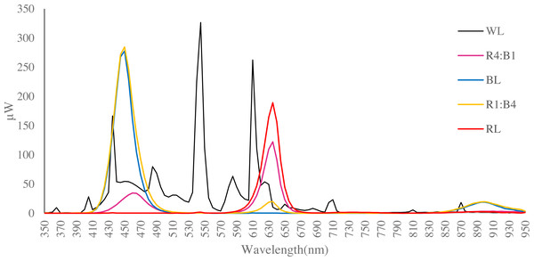 Spectral distribution of LED light sources utilised (data obtained using a Hopocolor OHSP-350SF Spectral Colour Luminance Meter).