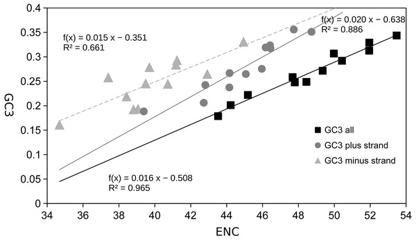 Scatter plot of GC content of 3rd codon sites vs effective number of codons (ENC).