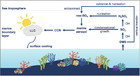 Coral reefs as a source of climate-active aerosols [PeerJ]