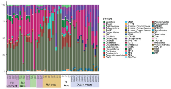 Phylum level diversity from 16S rRNA amplicon sequencing across all samples studied.