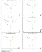 fish cplot size surgeonfish