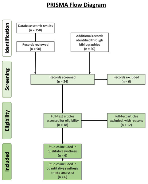 Preferred Reporting Items for Systematic Reviews and Meta-Analyses (PRISMA) flow diagram (Moher et al., 2009) for the double-headed popliteus systematic review.