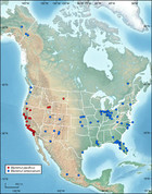 The easternmost occurrence of Mammut pacificus (Proboscidea: Mammutidae ...