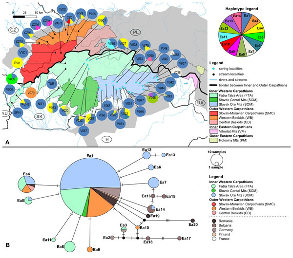 Elmis aenea sampling sites with mtDNA (COI) haplotype distribution and haplotype network.