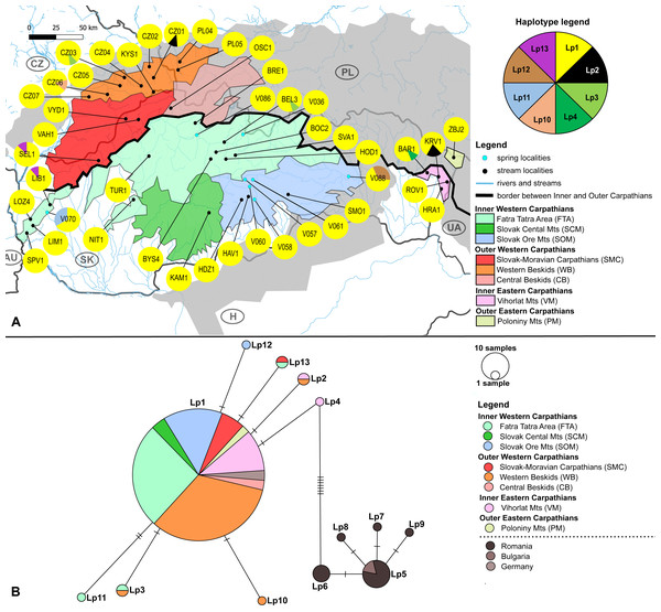 Limnius perrisi sampling sites with mtDNA (COI) haplotype distribution and haplotype network.
