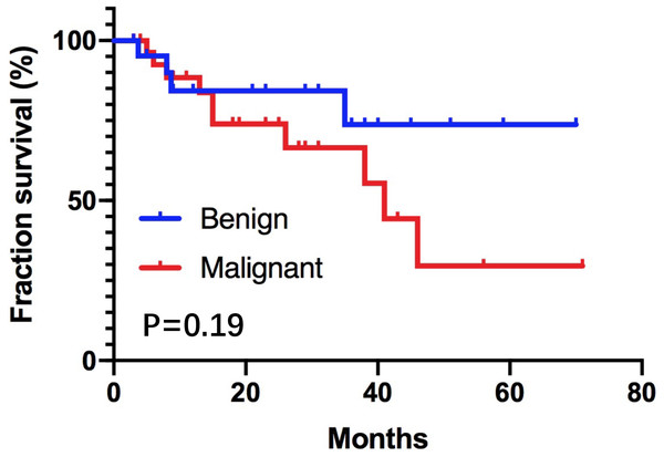  The cumulative survival of patients with benign IPNM-B patients and malignant IPNM-B patients was determined by the Kaplan–Meier method.