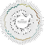 Conservation genomics and pollination biology of an endangered, edaphic ...