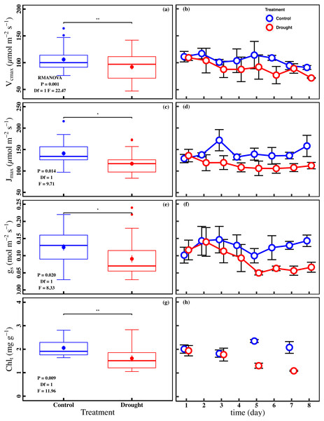 Variations of photosynthetic traits and total chlorophyll concentration in control and drought stress.