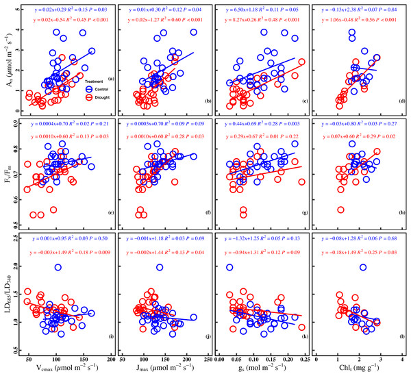 Relationships between chlorophyll fluorescence parameters and photosynthetic traits in the control and drought stress.