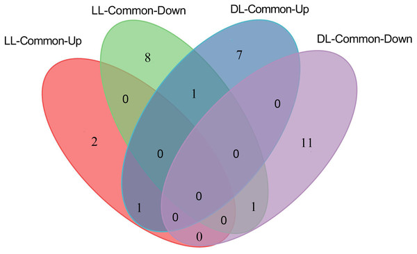 Number of up- and down-regulated metabolites commonly shared by LL-Avr vs. LL-CK and LL-Vir vs. LL-CK, DL-Avr vs. DL-CK and DL-Vir vs. DL-CK.