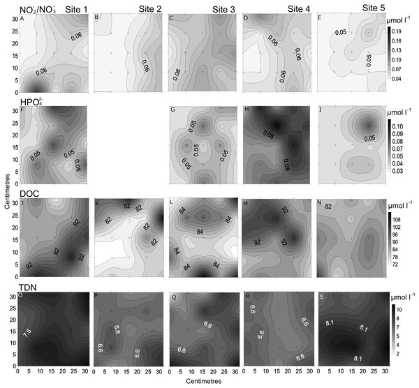 Spatial distribution of chemical parameters.