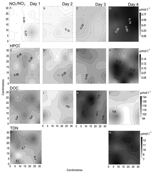 Temporal distribution of chemical parameters.