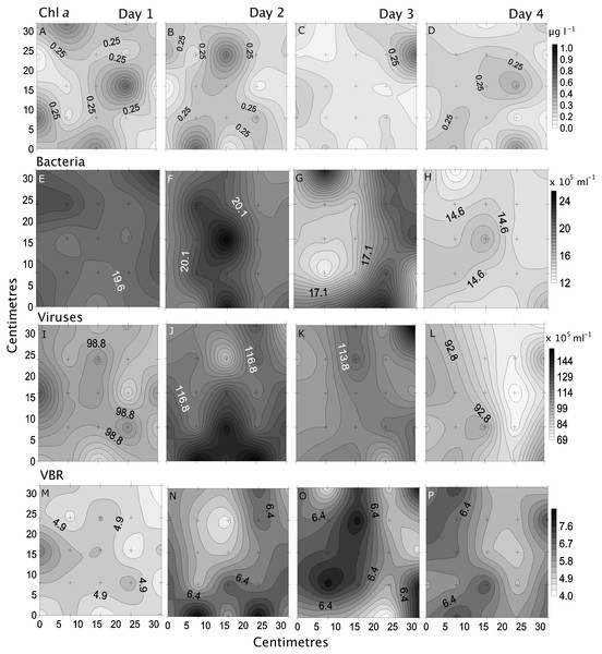 Temporal distribution of biological parameters.