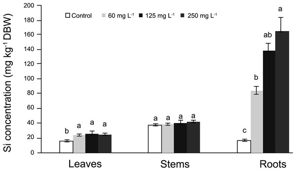 Concentration of silicon (Si) in leaves, stems, and roots of pepper (Capsicum annuum) plants grown in a nutrient solution with different concentrations of Si for 28 days.