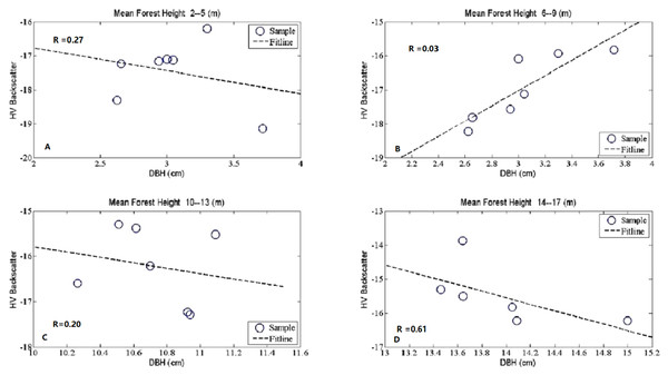 The scatter plots between mean DBH and HV backscatter at given mean forest height.