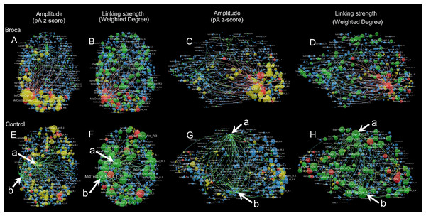 Sample amplitude and linking strength distributions in t4.