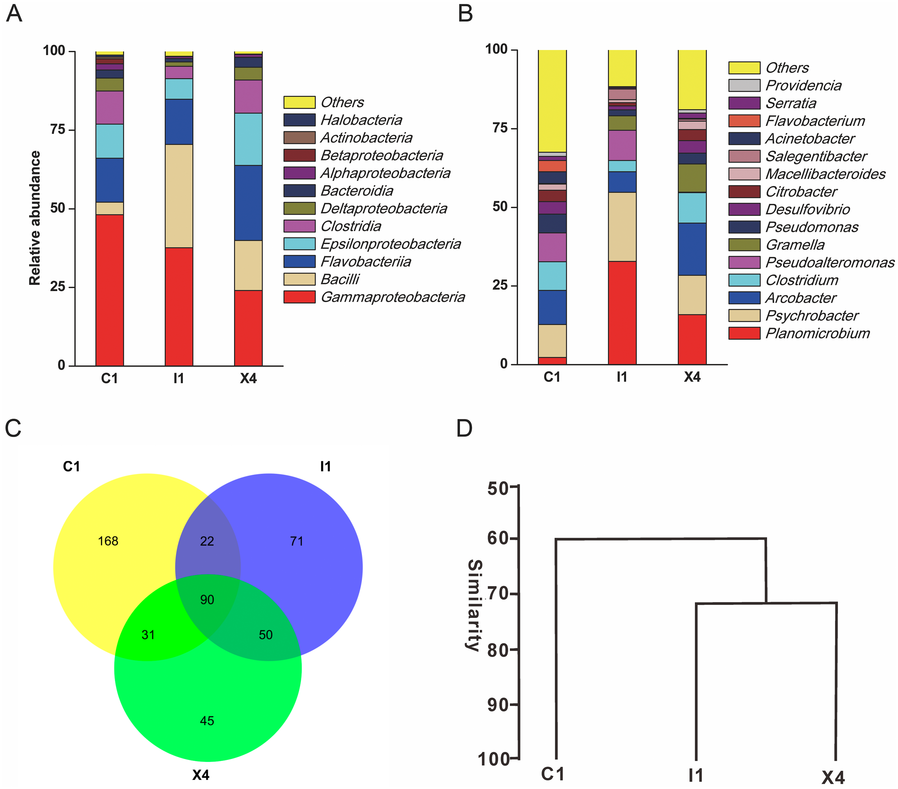 Comparison Of The Diversity Of Cultured And Total Bacterial Communities ...