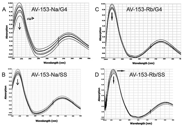 Absorption spectra of 25 µM AV-153-Na (A, B) and AV-153-Rb (C, D) in absence and presence of guanine G4 (A, C) and single-stranded (SS) human telomeric repeat (B, D).