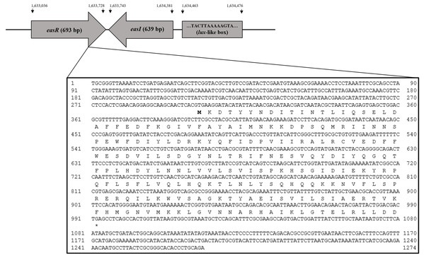 Organization of easR, easI and lux-liked box in E. asburiae strain L1 genome.