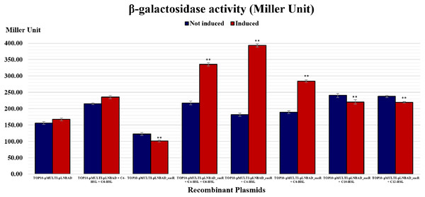 Histogram reporting EasR-regulated promoter β-galactosidase activity of E. coli TOP10 harboring pMULTIAHLPROM and pLNBAD (TOP10-pMULTI-pLNBAD) or pLNBAD-easR (TOP10-pMULTI-pLNBAD-easR) in the presence or absence of 100 µM different AHLs (C4-HSL, C6-HSL, C10-HSL and C12-HSL).