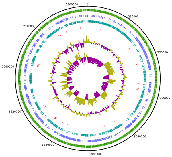 Circular visualization of genome of SG502T.