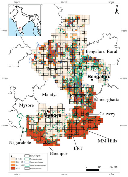 Results of the second best model to predict leopard occupancy.